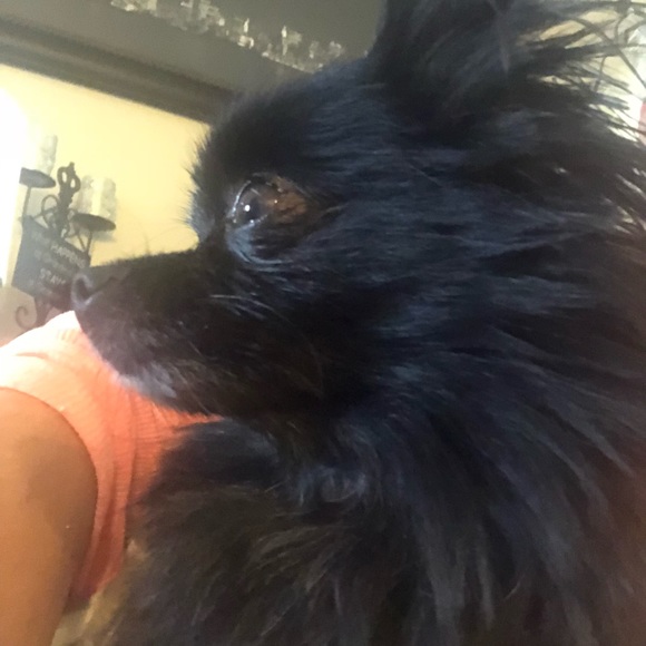 Meet your Posher, Liz - Picture 3 of 3